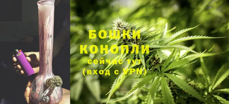 Каннабис LSD WEED  Курчалой 